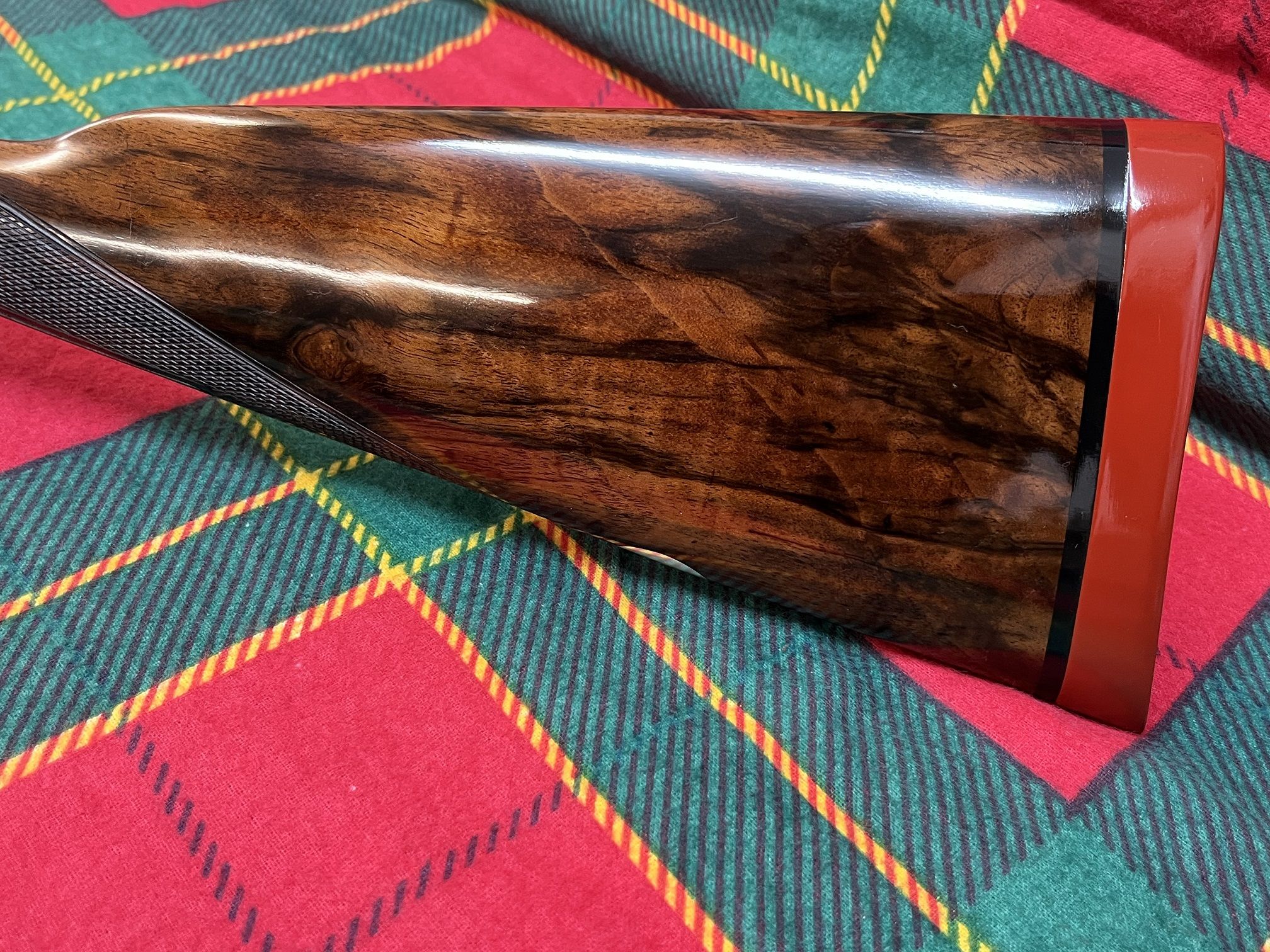 67361f6e1c72d296693850