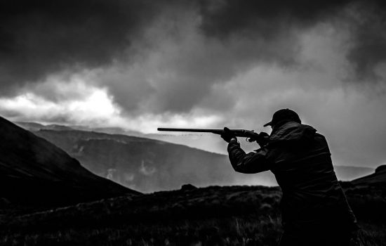 News from John Dickson & Son - August 2025