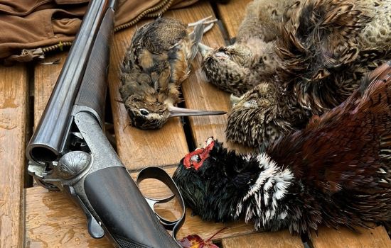 News from John Dickson & Son - March 2024