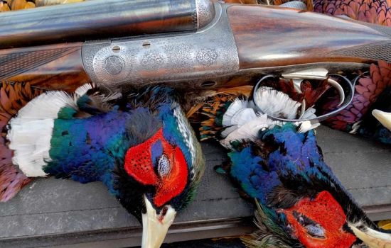 News from John Dickson & Son - February 2024