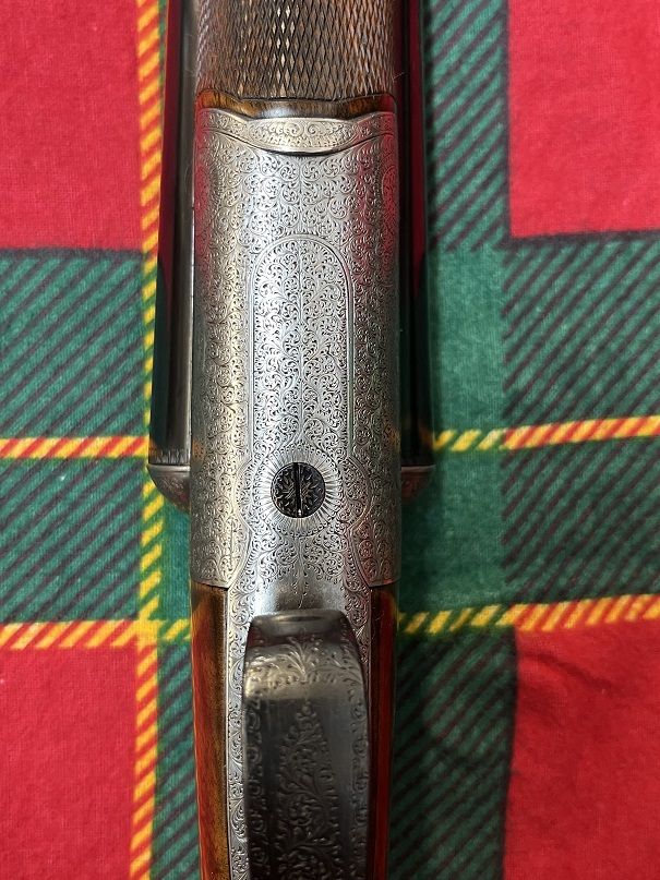 67361f6b5dfed815709517